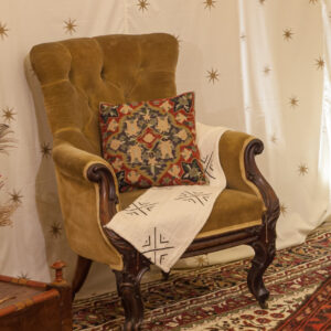 Velvet Armchair - Glade