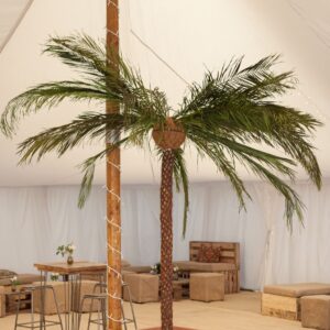 Giant Palm Tree 12ft
