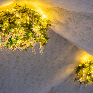 Wisteria Frame Chandelier (Small)