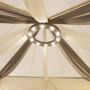 Black Hoop Luminaire - 10 Lamp